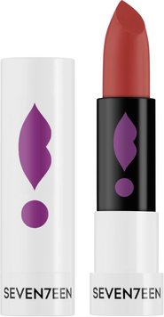 Помада для губ Seventeen Lipstick Special №363, 5 г SEV-LS-363 фото