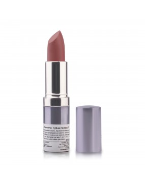 Помада губная Seventeen Lipstick Special №243 Rose Petal 5 г